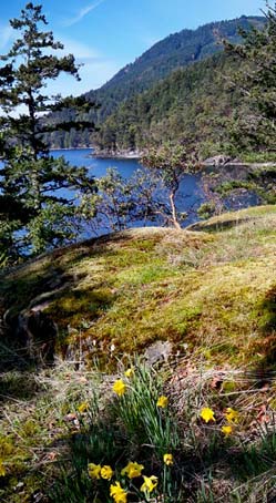SaltSpring Island accommodation